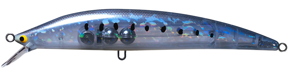 05.クリアイワシ