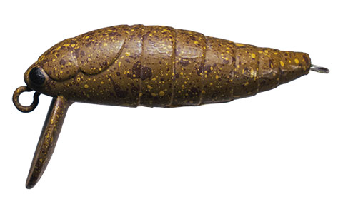 ブリンドルカーキ