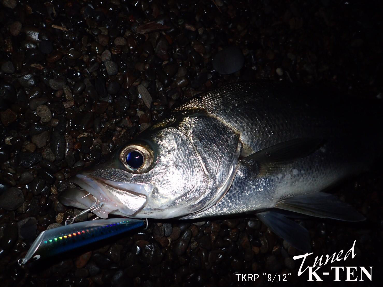 パープルヘイズデザイン　イクオス83 パープルヘイズデザイン イクオス 希少品