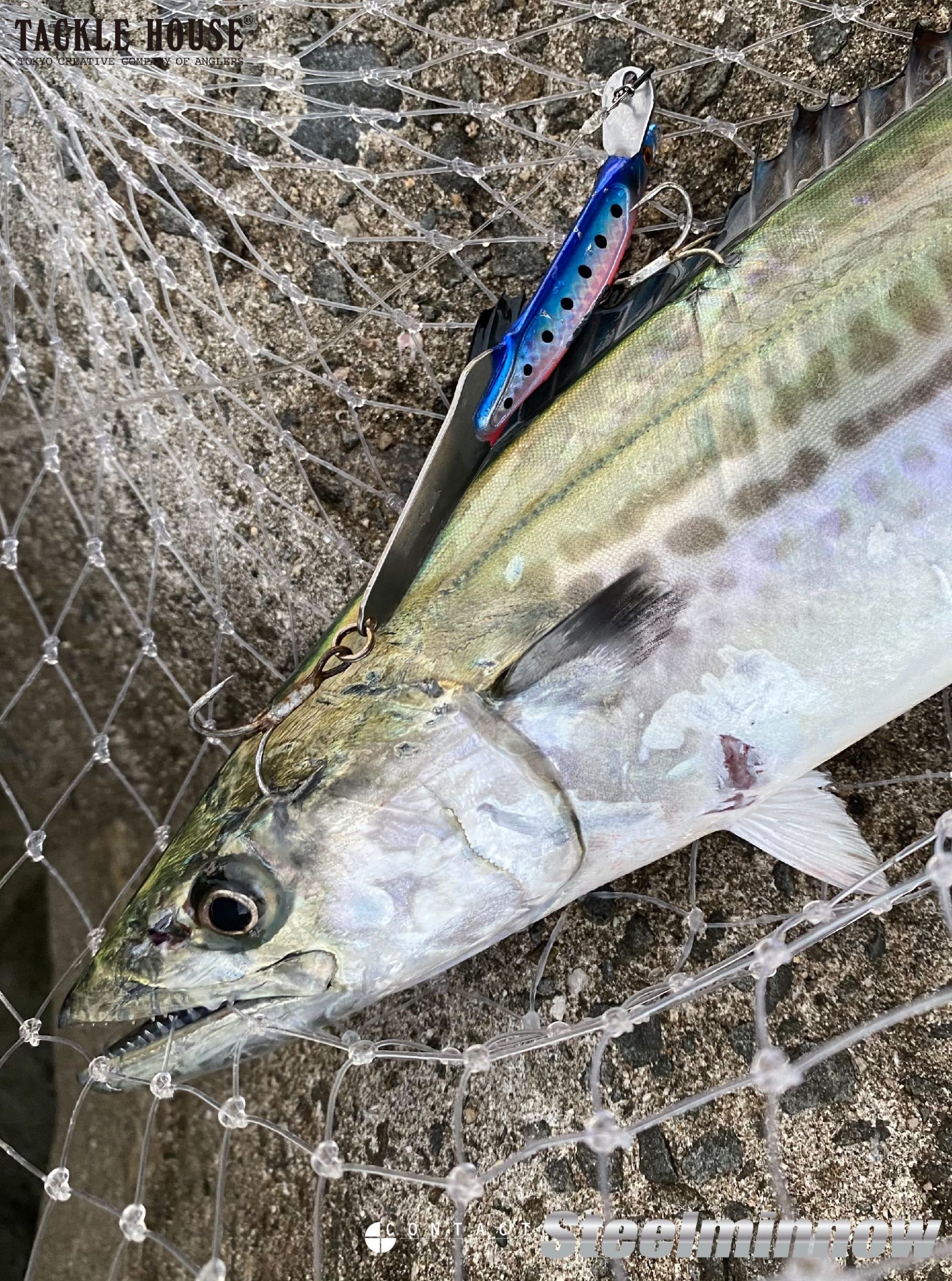 0DD3661B-E621-4C27-8025-