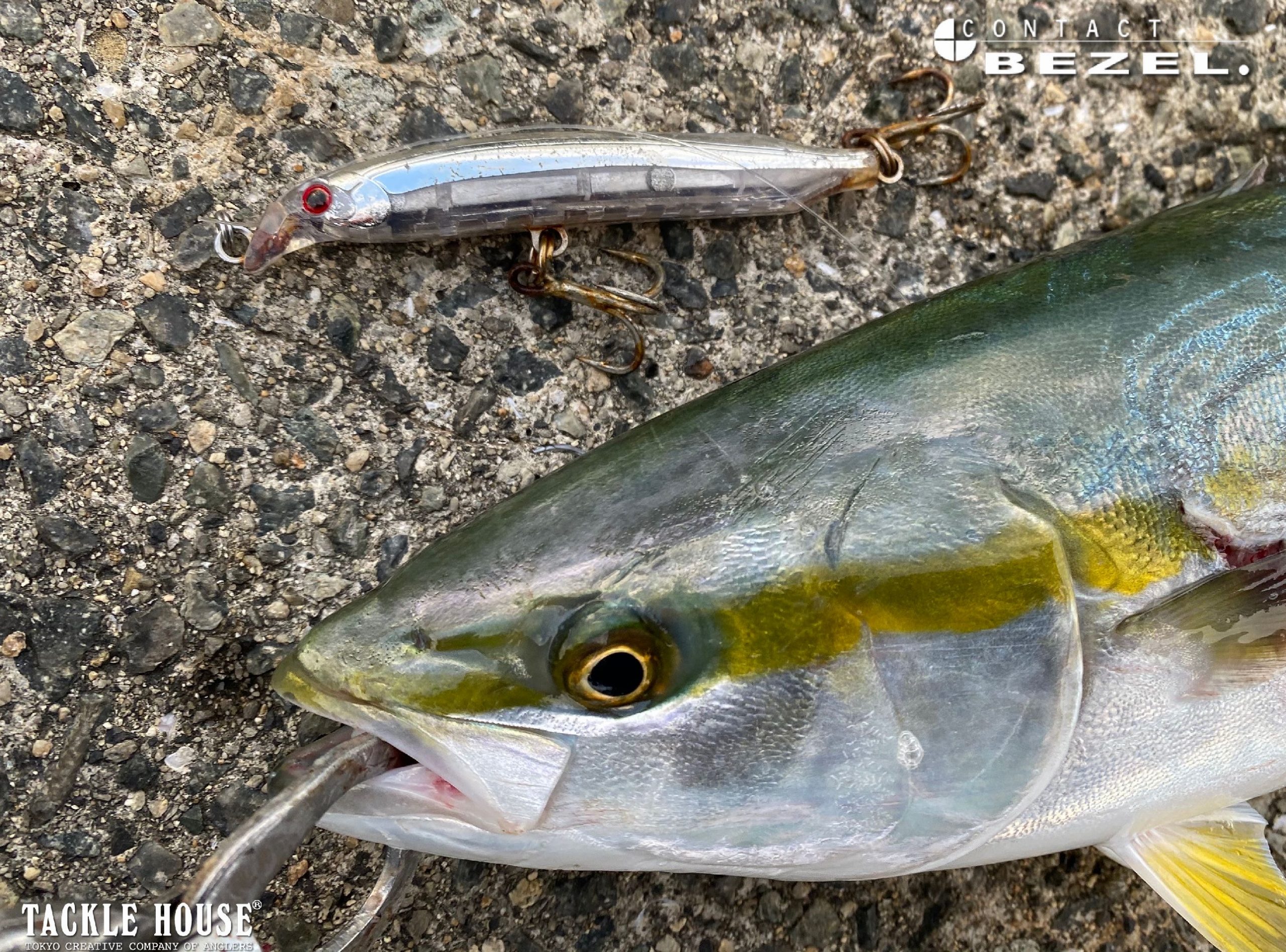 海釣りルアー10個セット　B16 Anglers Republic ZetZ カタクチ120S(BCK120S) 【シーバスルアー