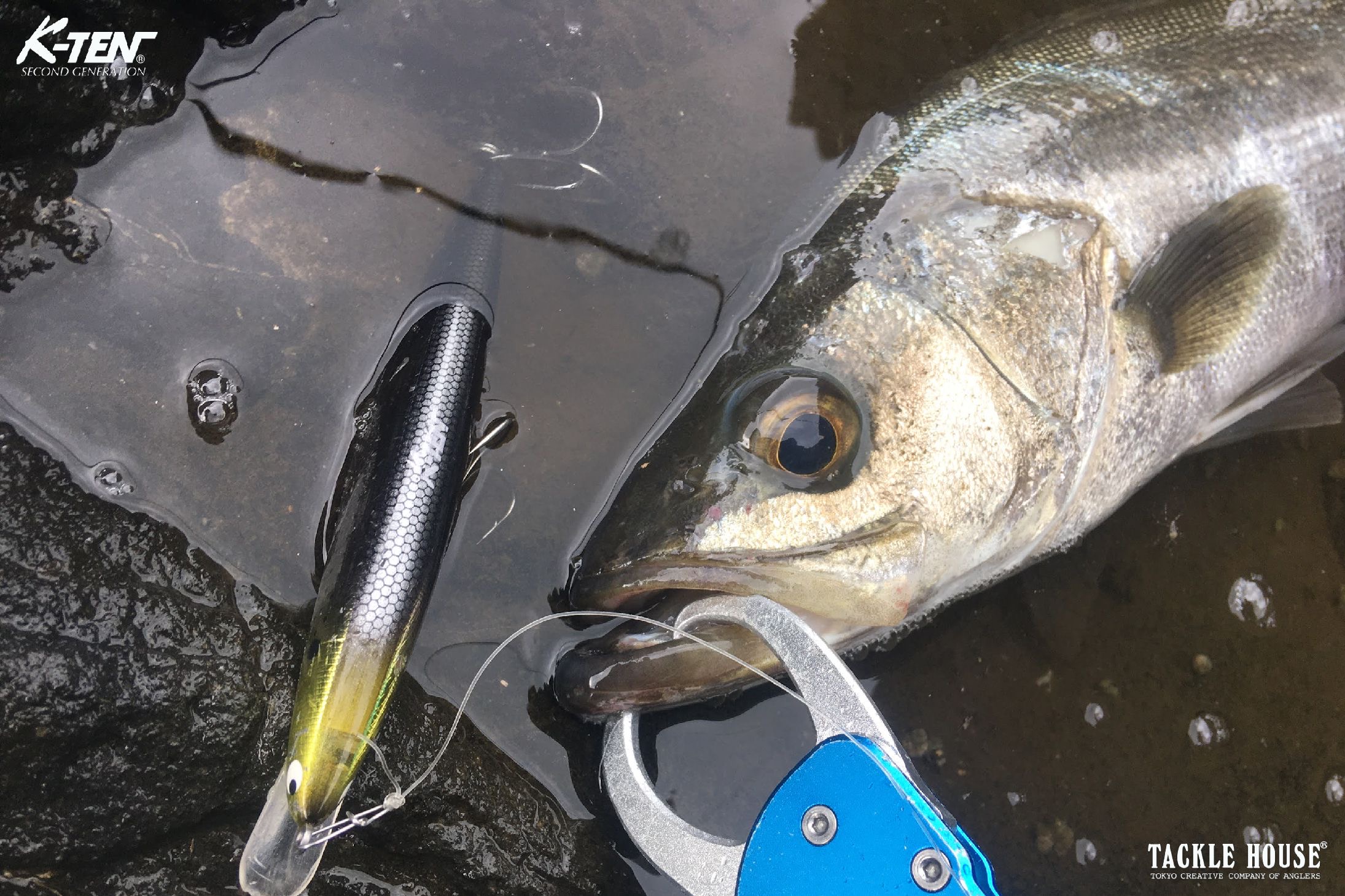 ルアー断捨離まとめ売り 多数のルアー ルアー断捨離まとめ売り 多数のルアー