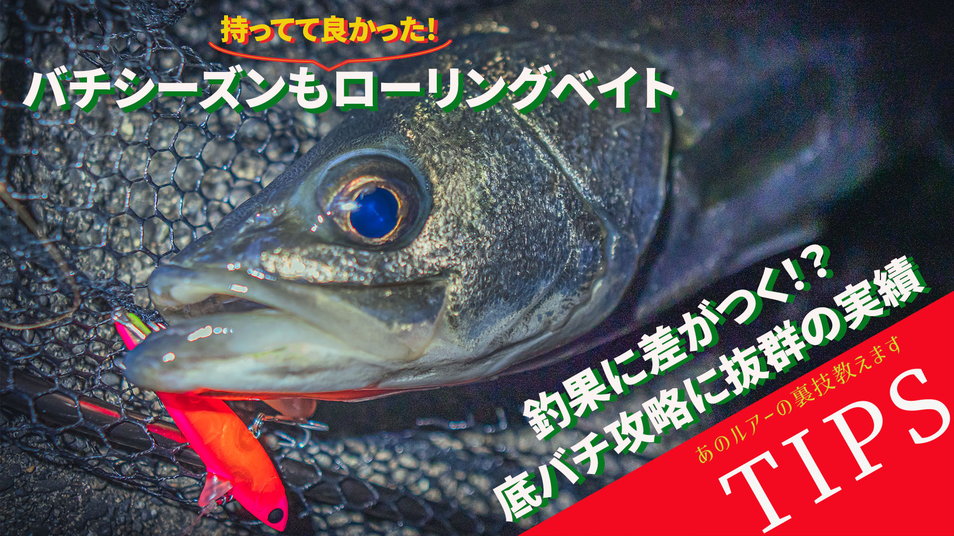 底 バチ ルアー