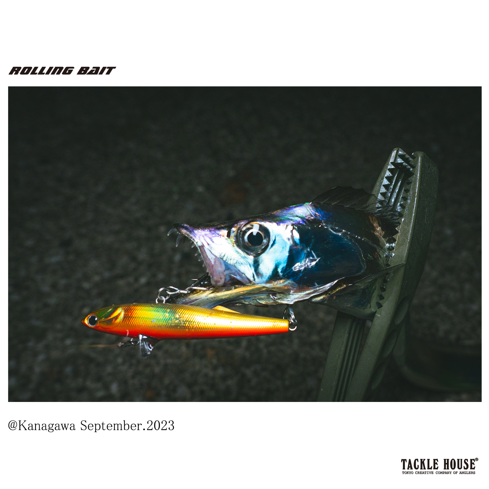 ee0771212e8cb10694cd923577bc2e