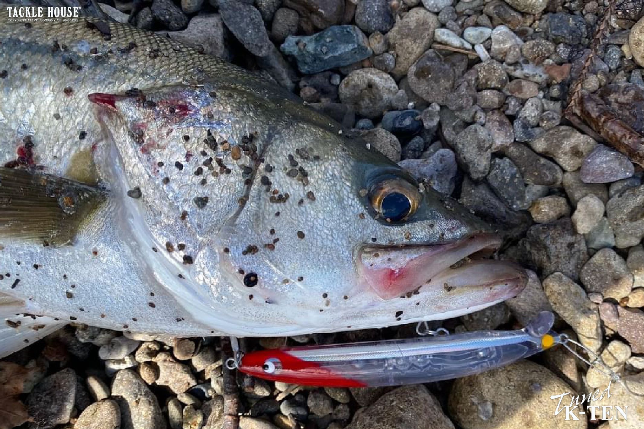 186C7E7C-48B2-4B0D-BD69-