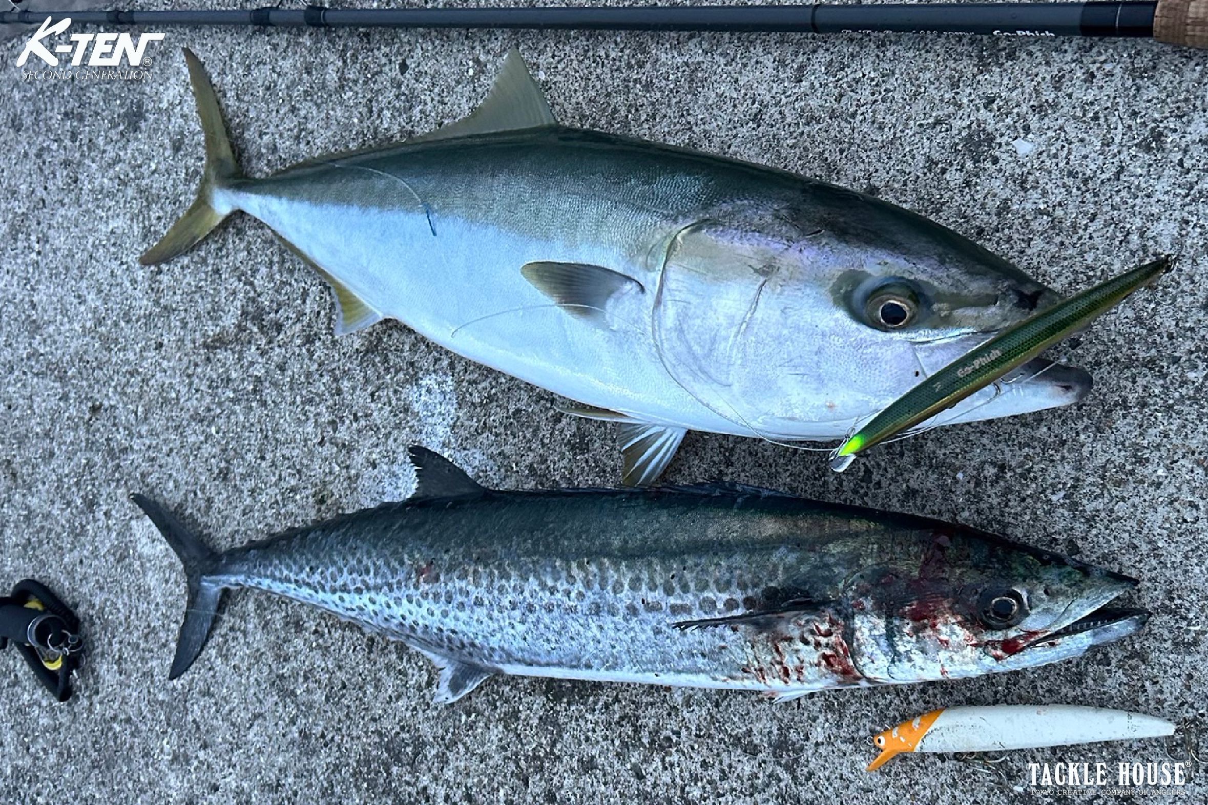 Field report】大阪湾 カタボシ&マイワシパターンのビッグミノーゲーム