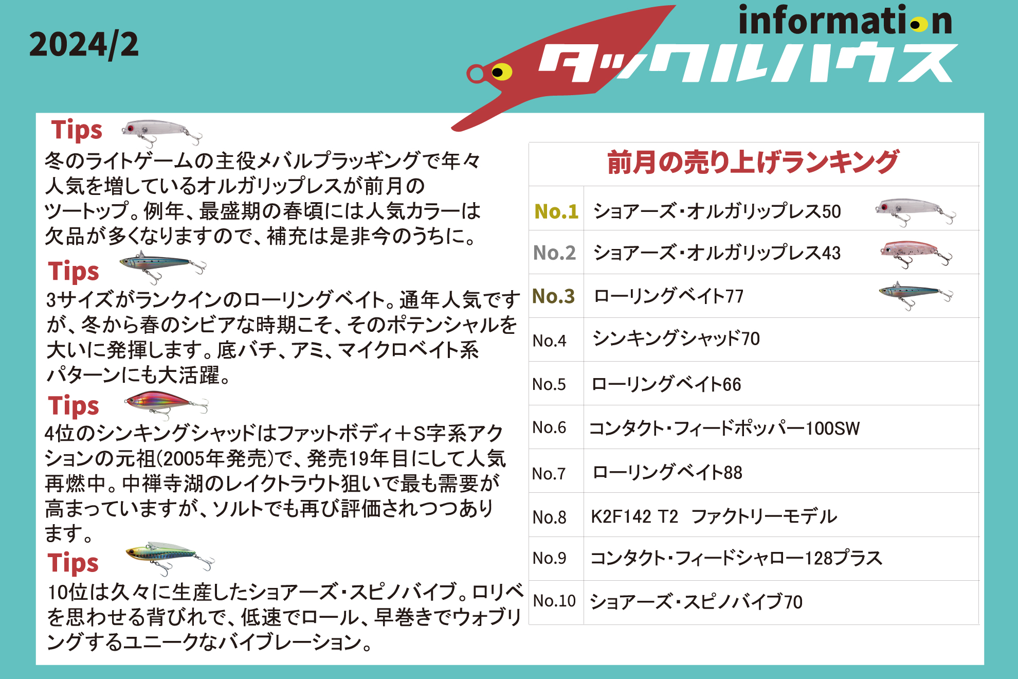 info】2024年1月の販売ランキング
