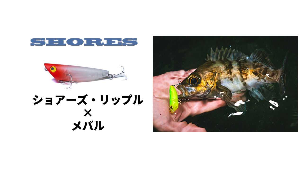 2024年秋発売予定】ショアーズリップル × メバル解説動画