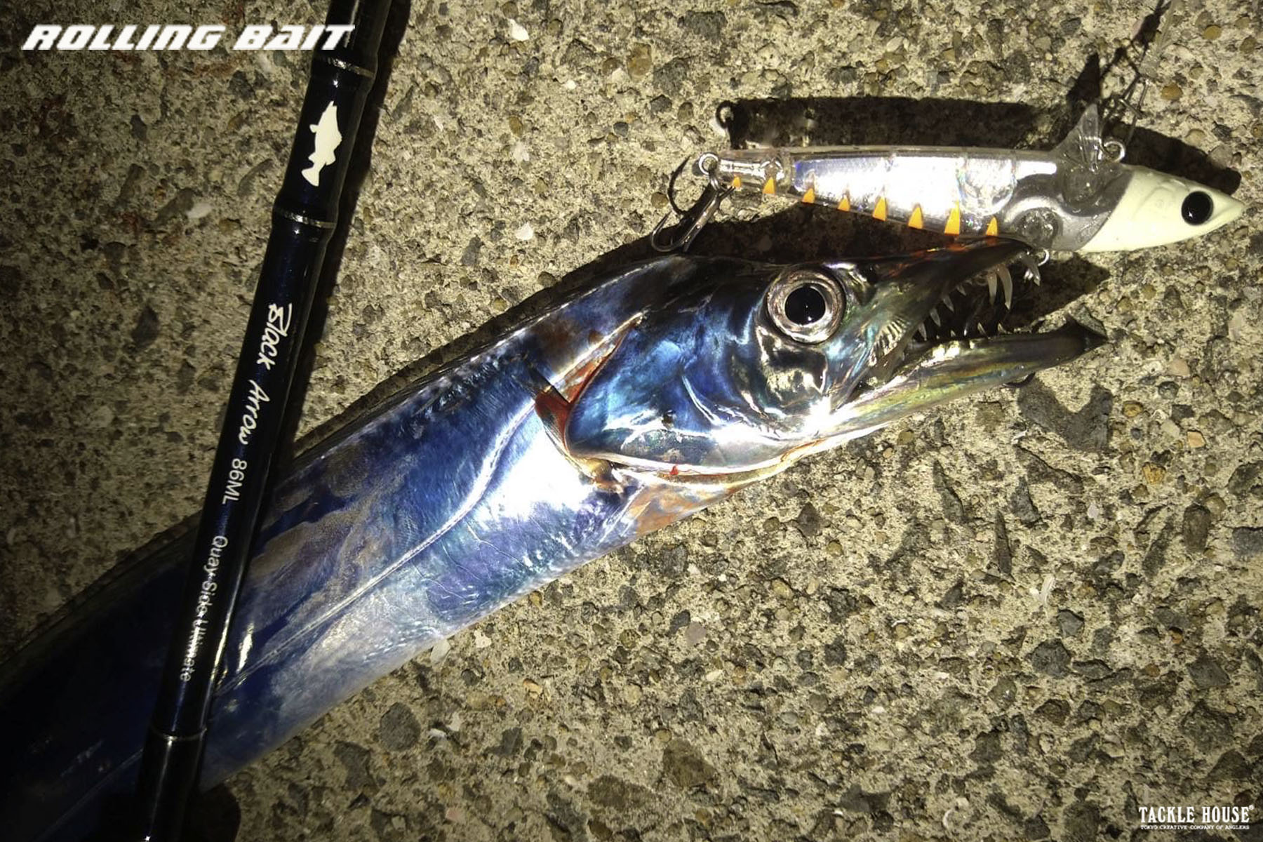 白水牛バチ 白水牛バチ 白水牛バチ 商品一覧】三線用バチ・奄美バチ｜三線専門