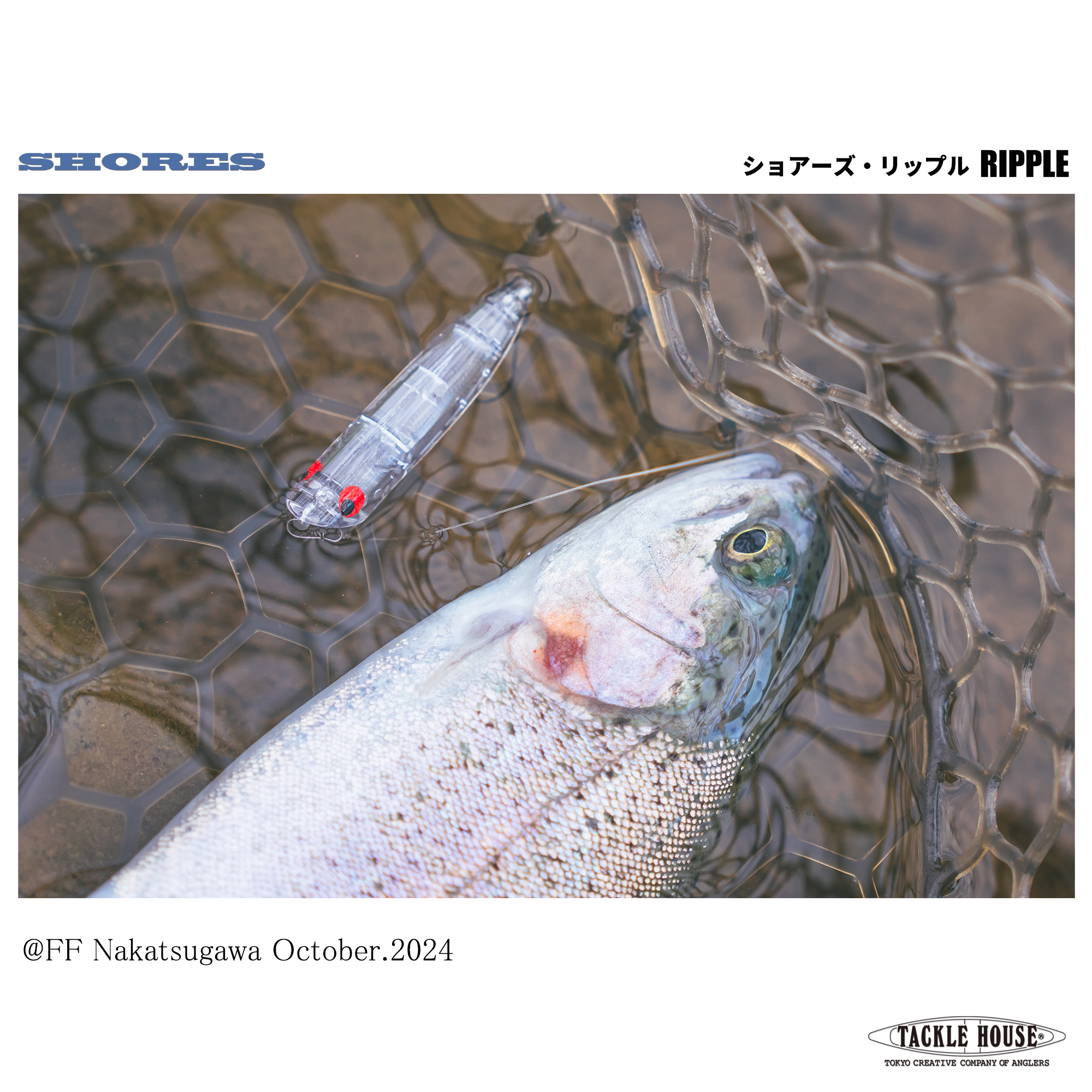 8e5d11b0bec61d753e6786d21b8a9b