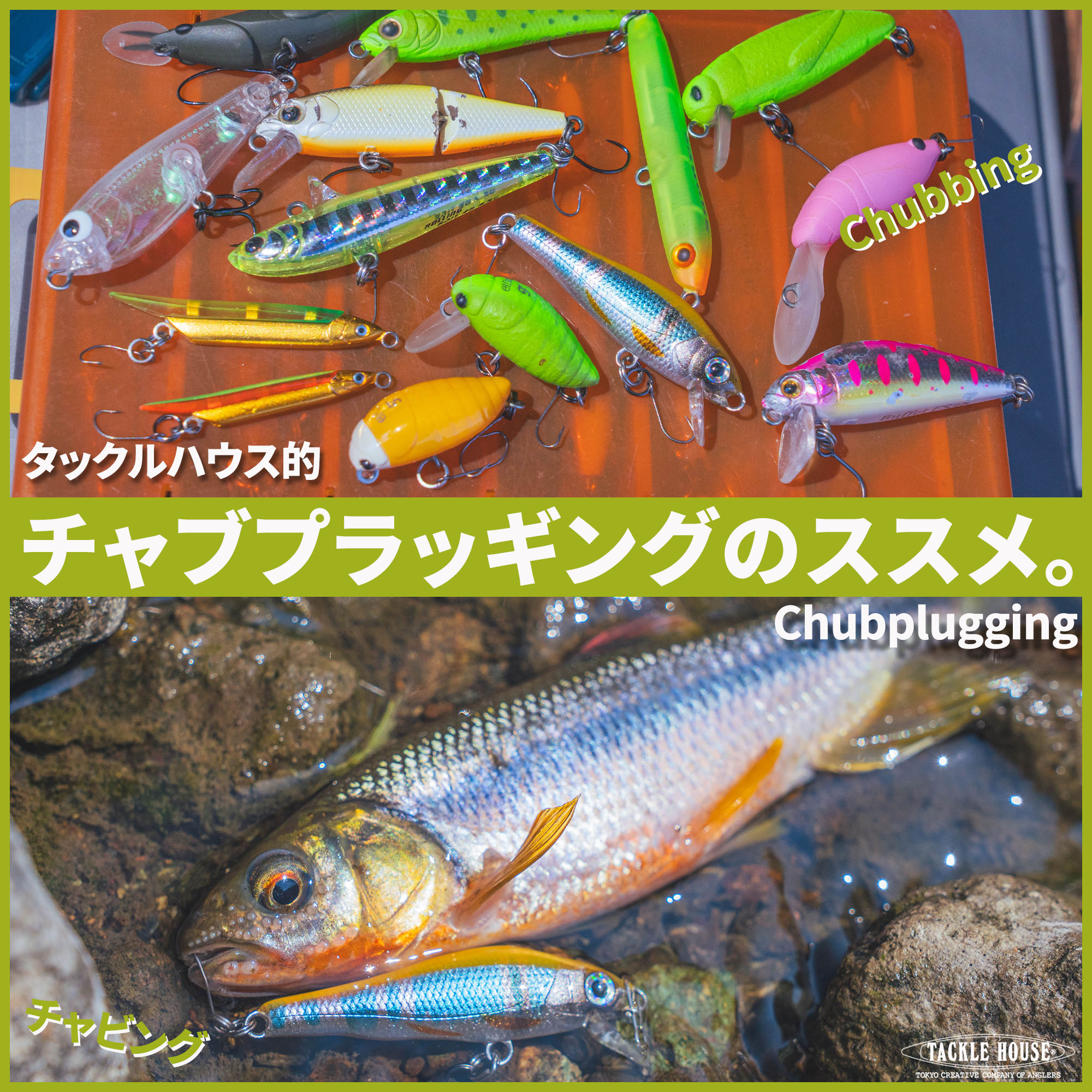 チャビングファンの皆様へ。チャブプラッギングのススメ。一押しルアー 