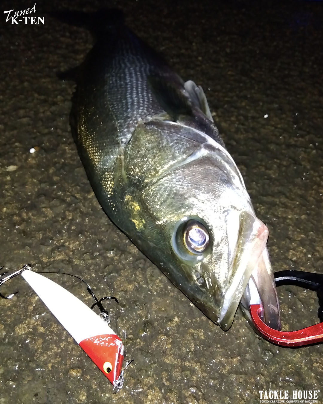 C48083A7-0018-4153-928E-