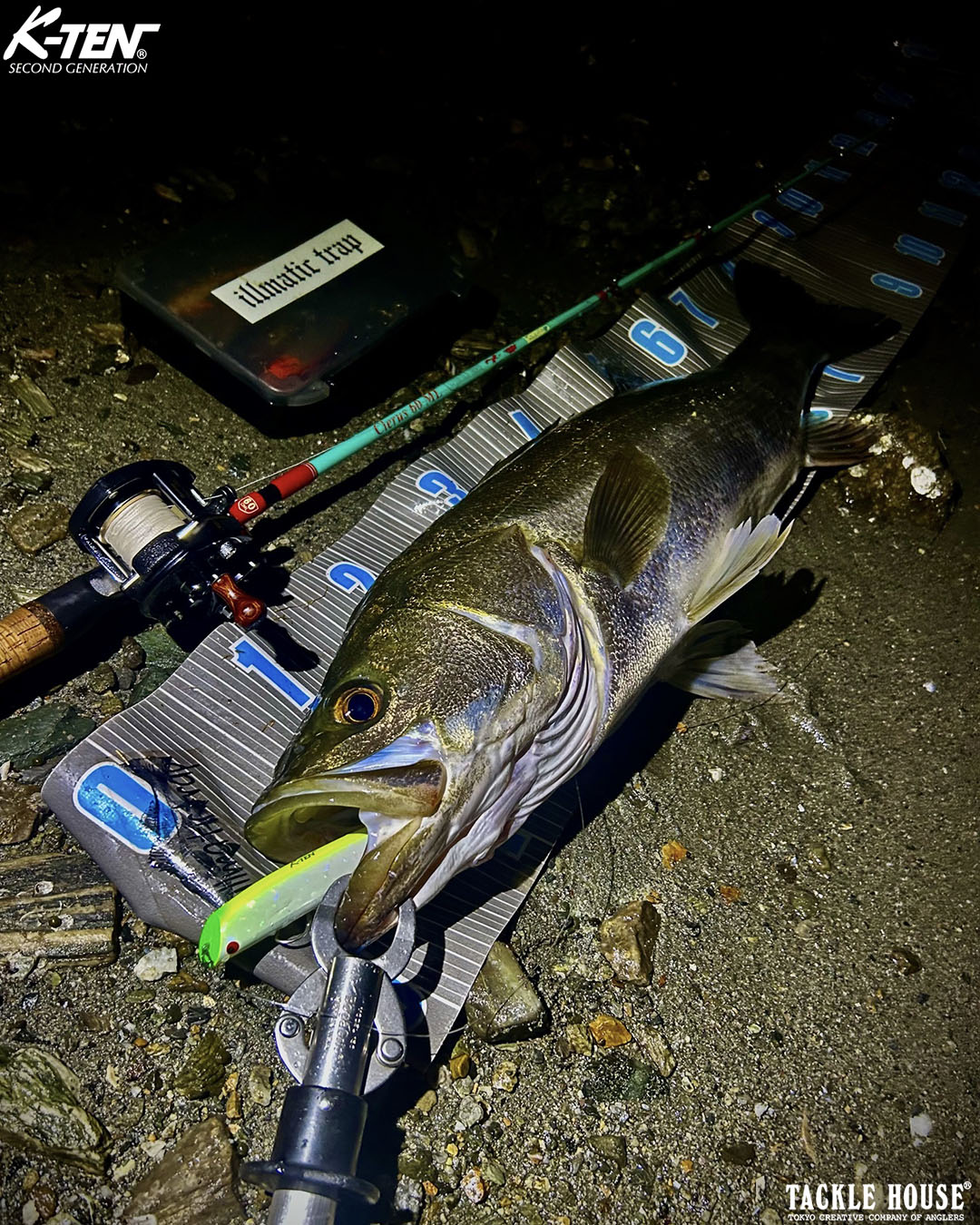 9F368ABD-9988-44BF-908F-