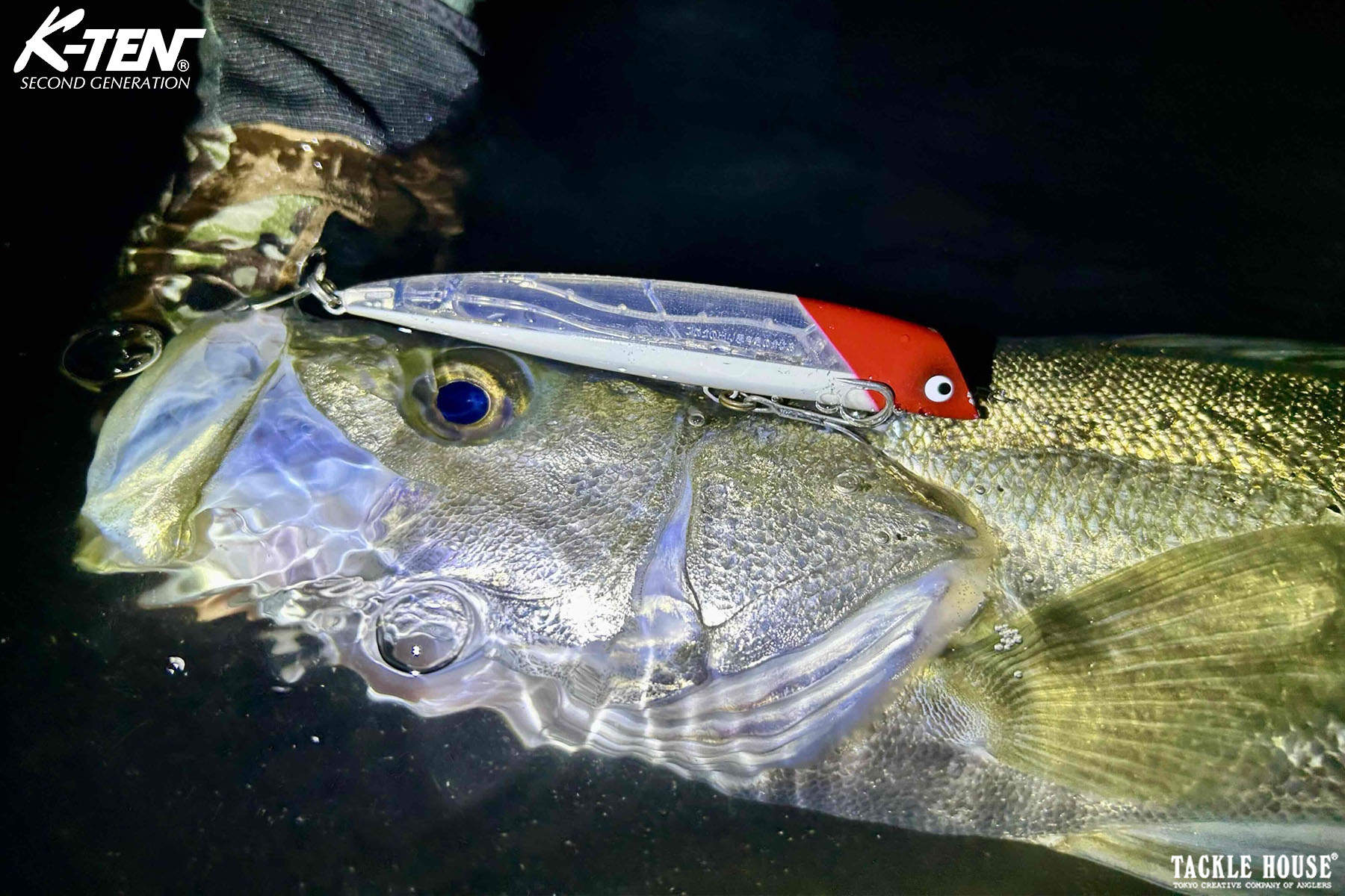 ヒラスズキルアー 10個 よく泳ぎます！ ヒラスズキ実績ルアー-300x169.jpg