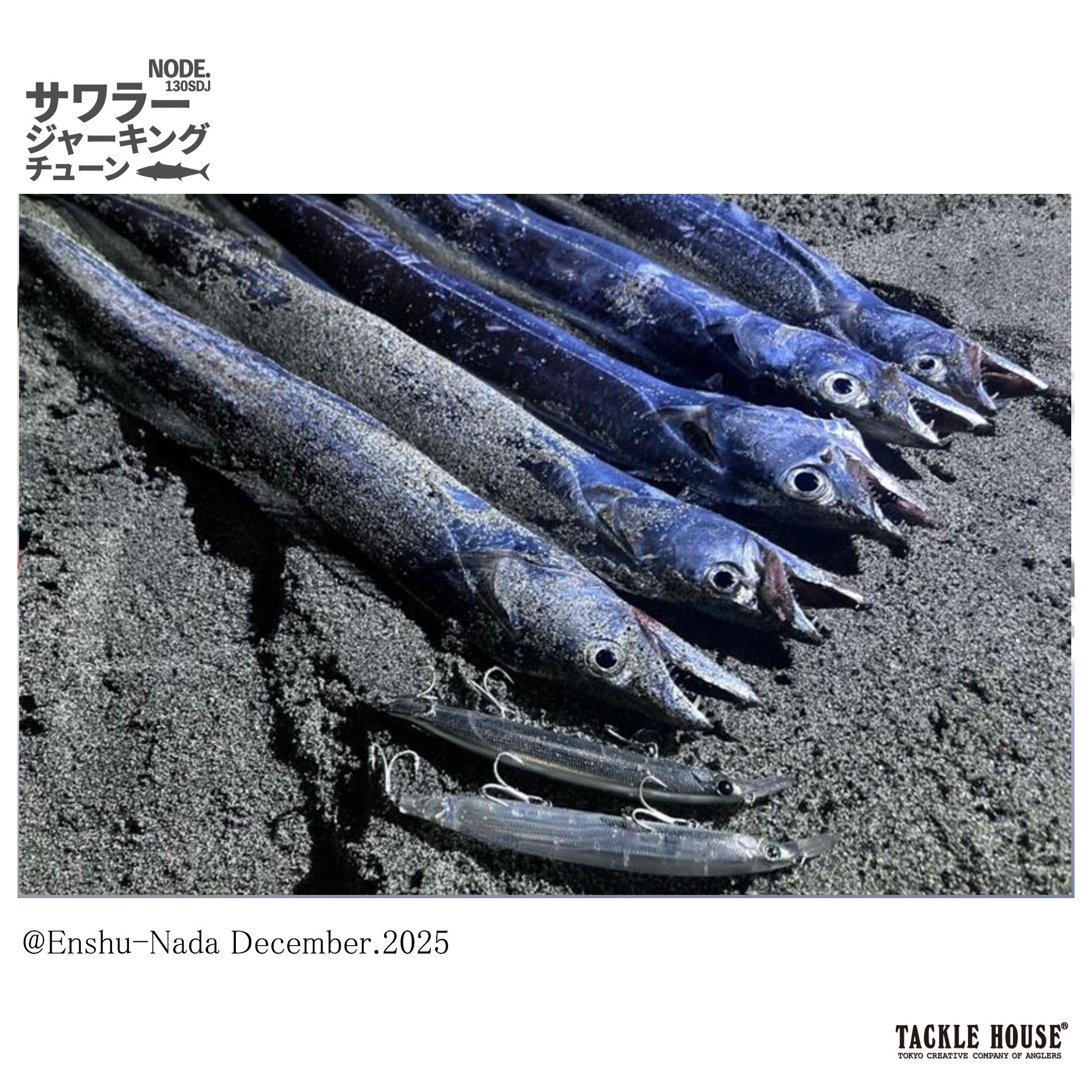 Field report】遠州灘サーフタチウオ開幕！あのミノーがタチウオにも好調！