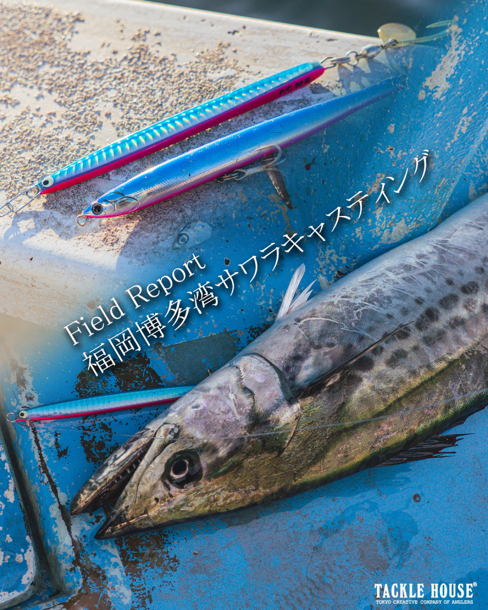 Field report】福岡博多湾サワラキャスティング/イーノの裏でこんなの